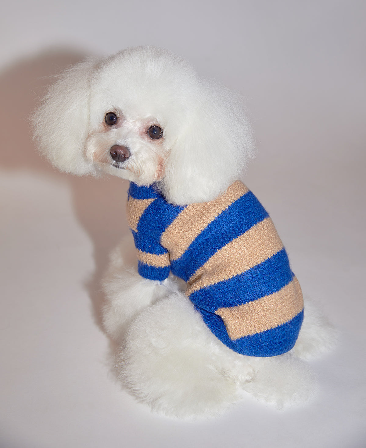 Contrast Striped Sweater in Blue and Apricot