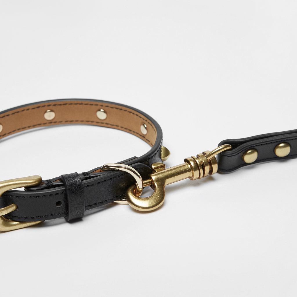 Black Leather Collar with Golden Rivets