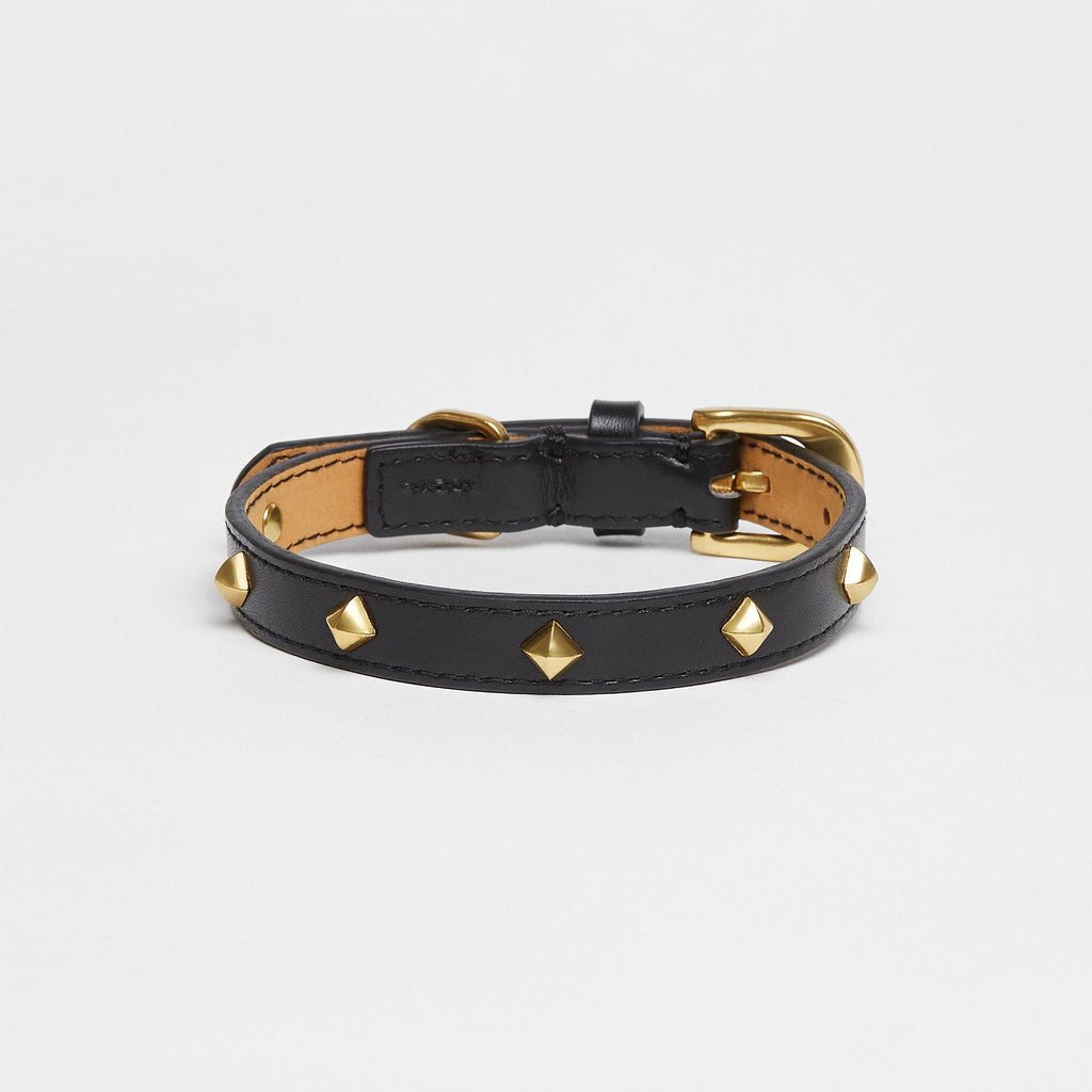 Black Leather Dog Lead, Collar and Waste Pocket Set with Golden Studs