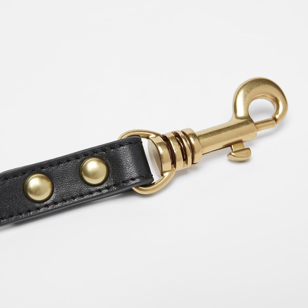 Black Leather Lead with Golden Rivets