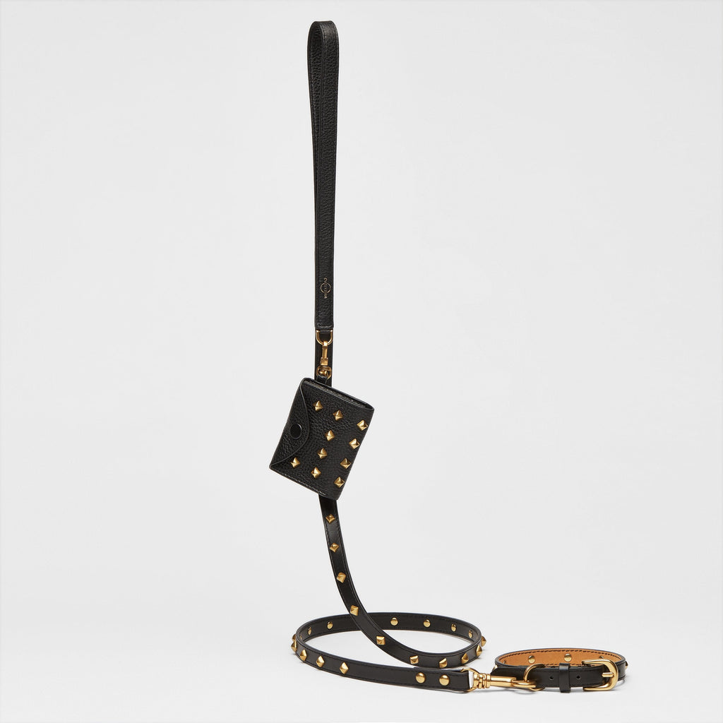 Black Leather Collar with Golden Rivets