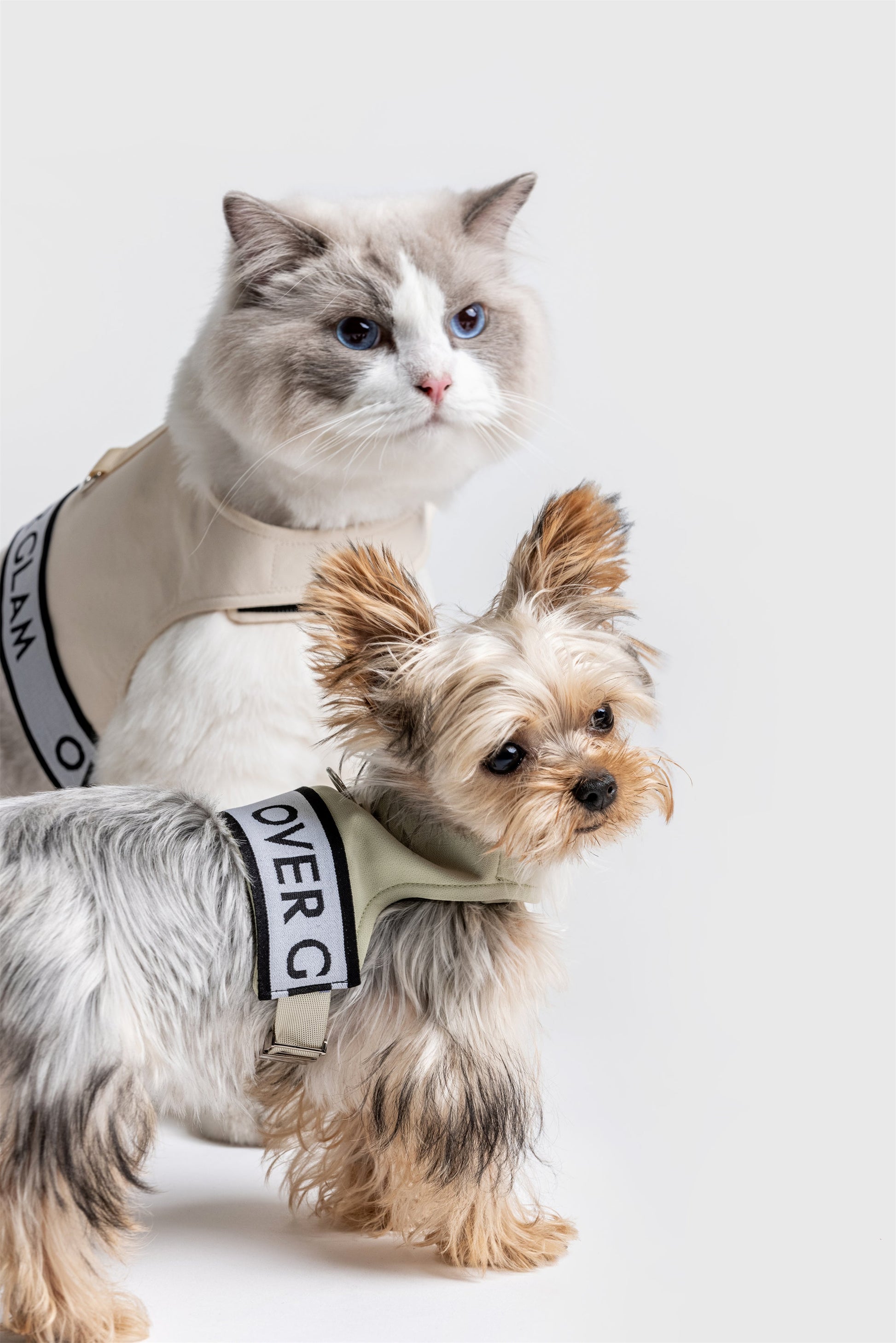 Ribbon Pastel Harness