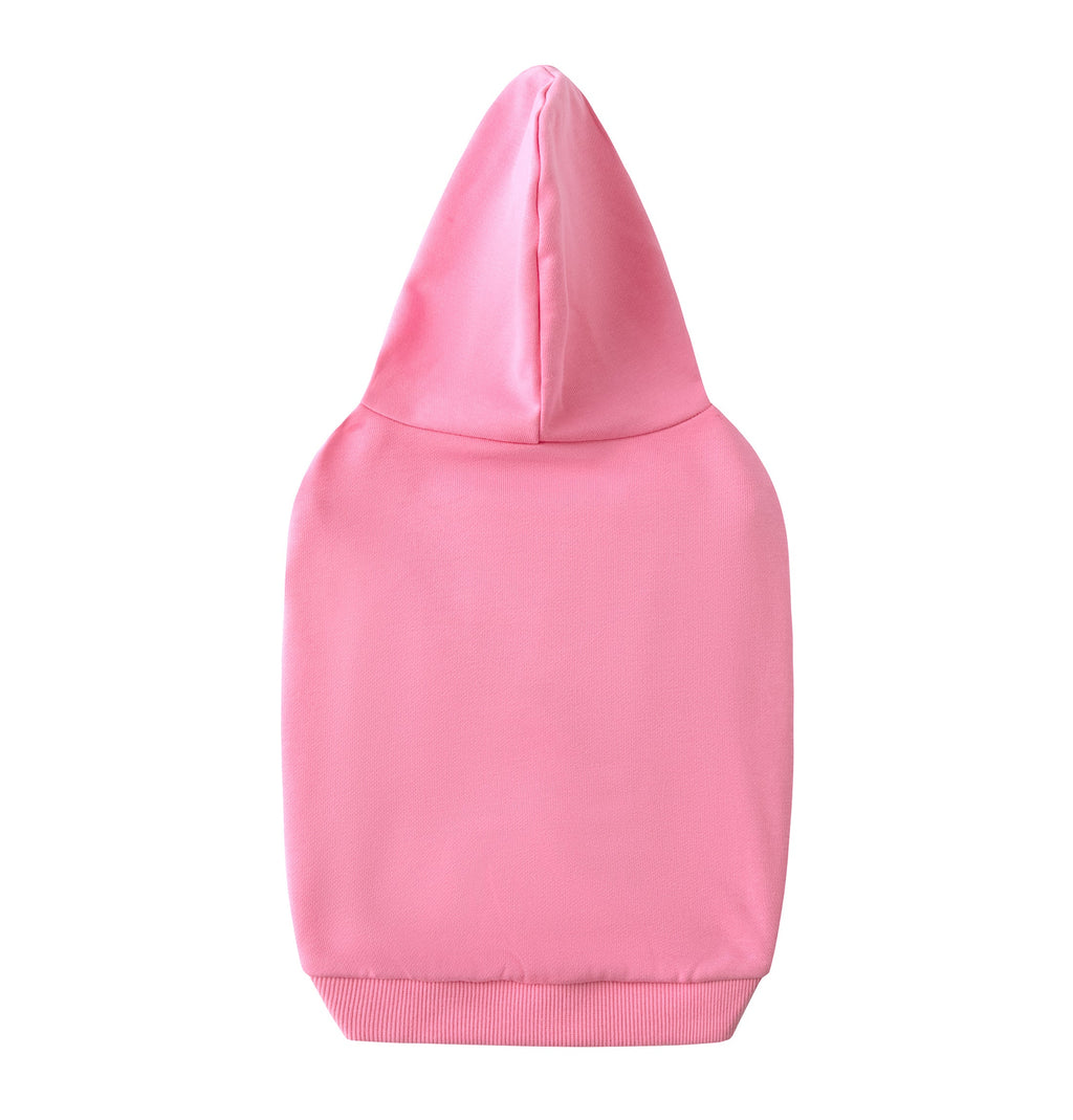 Pastel Hoodie with Glam Embroidery