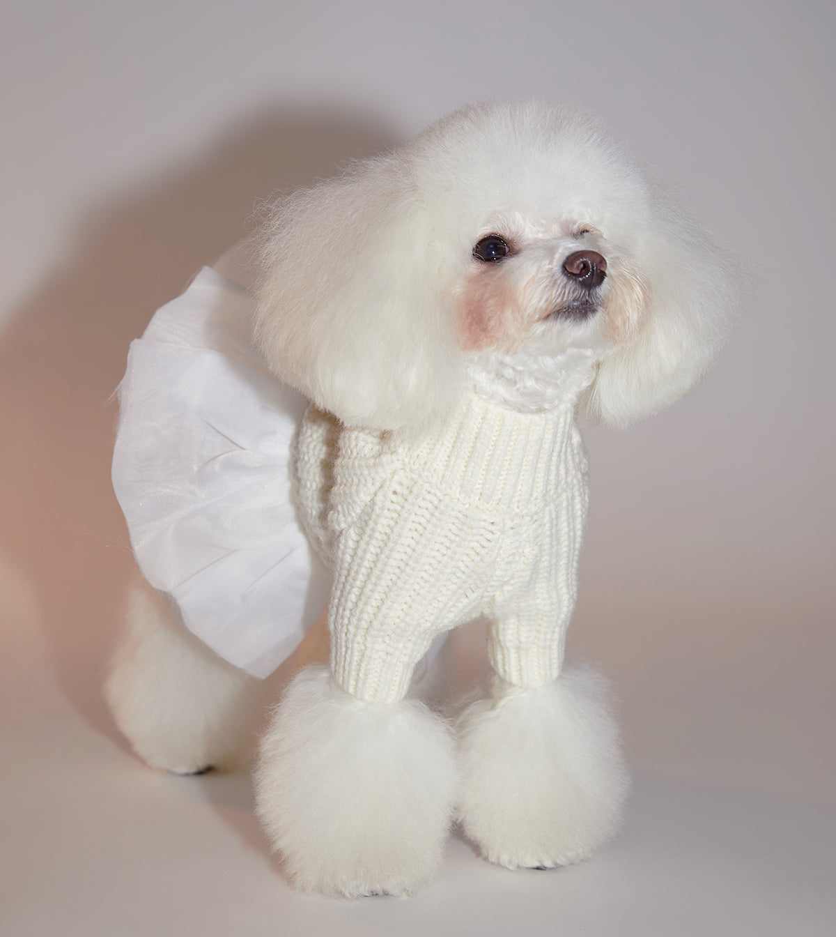 Knitwear Jumper with Skirt Base