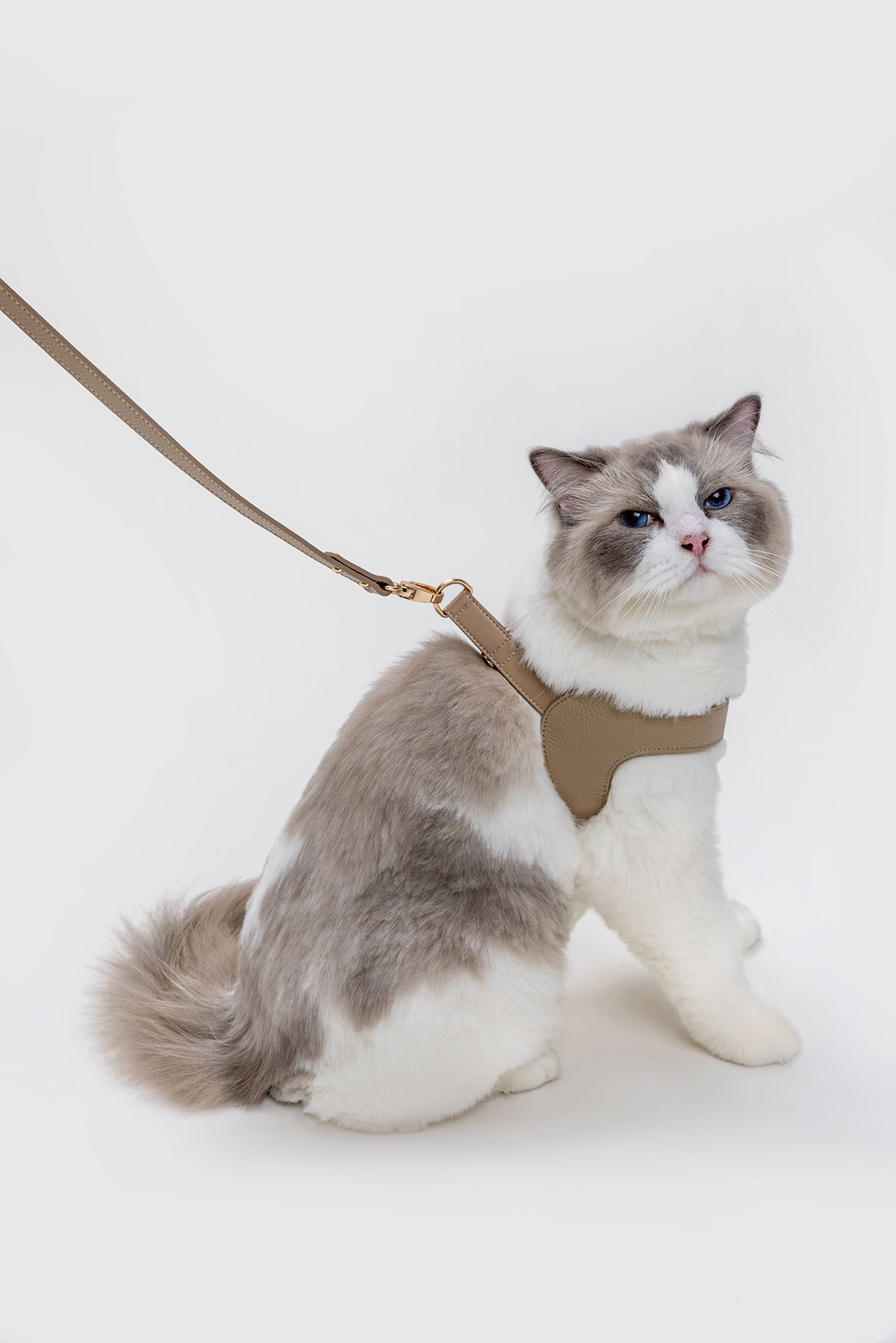 Leather Harness in Mint, Brown and Black