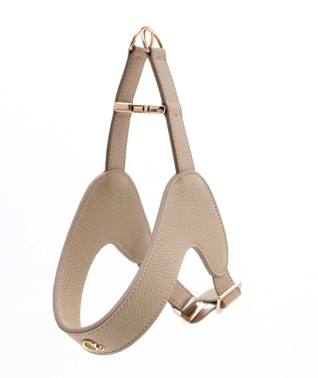 Leather Harness Set with Lead and Pocket