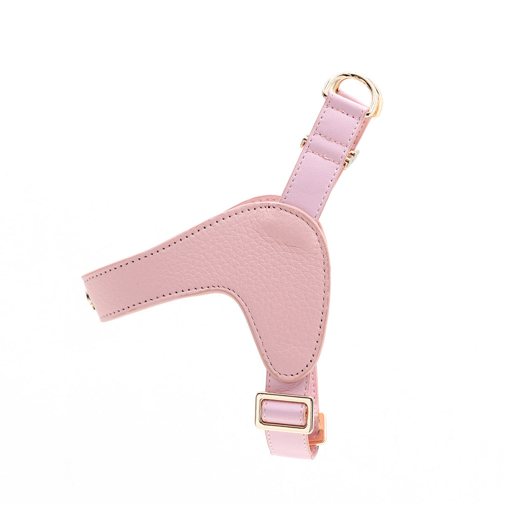 Leather Harness Set with Lead and Pocket