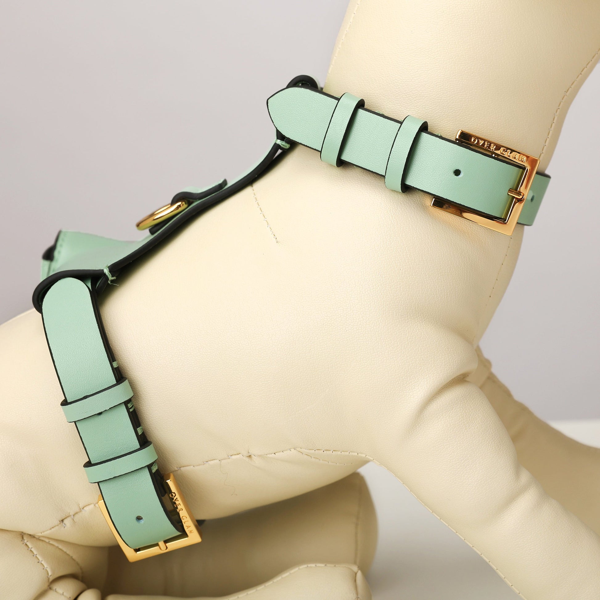 Puppy Pouch Harness