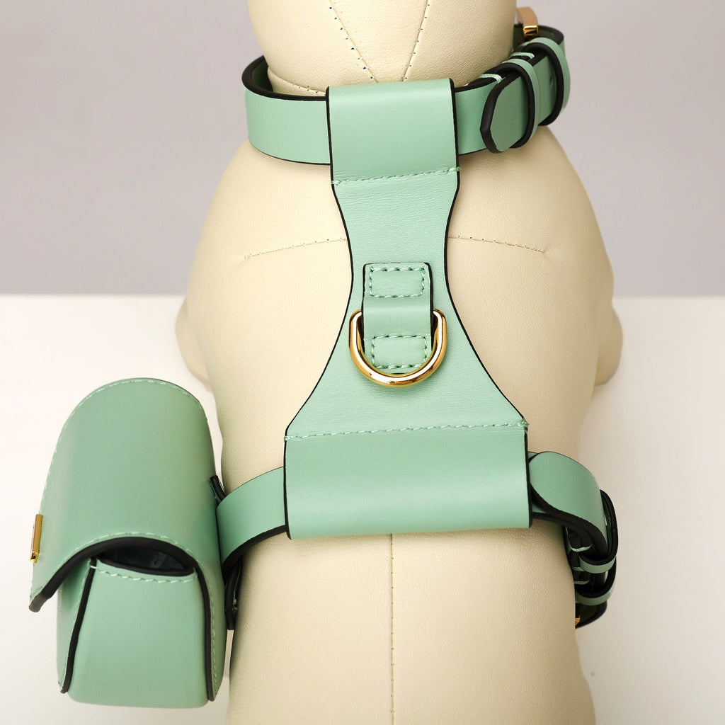 Puppy Pouch Harness