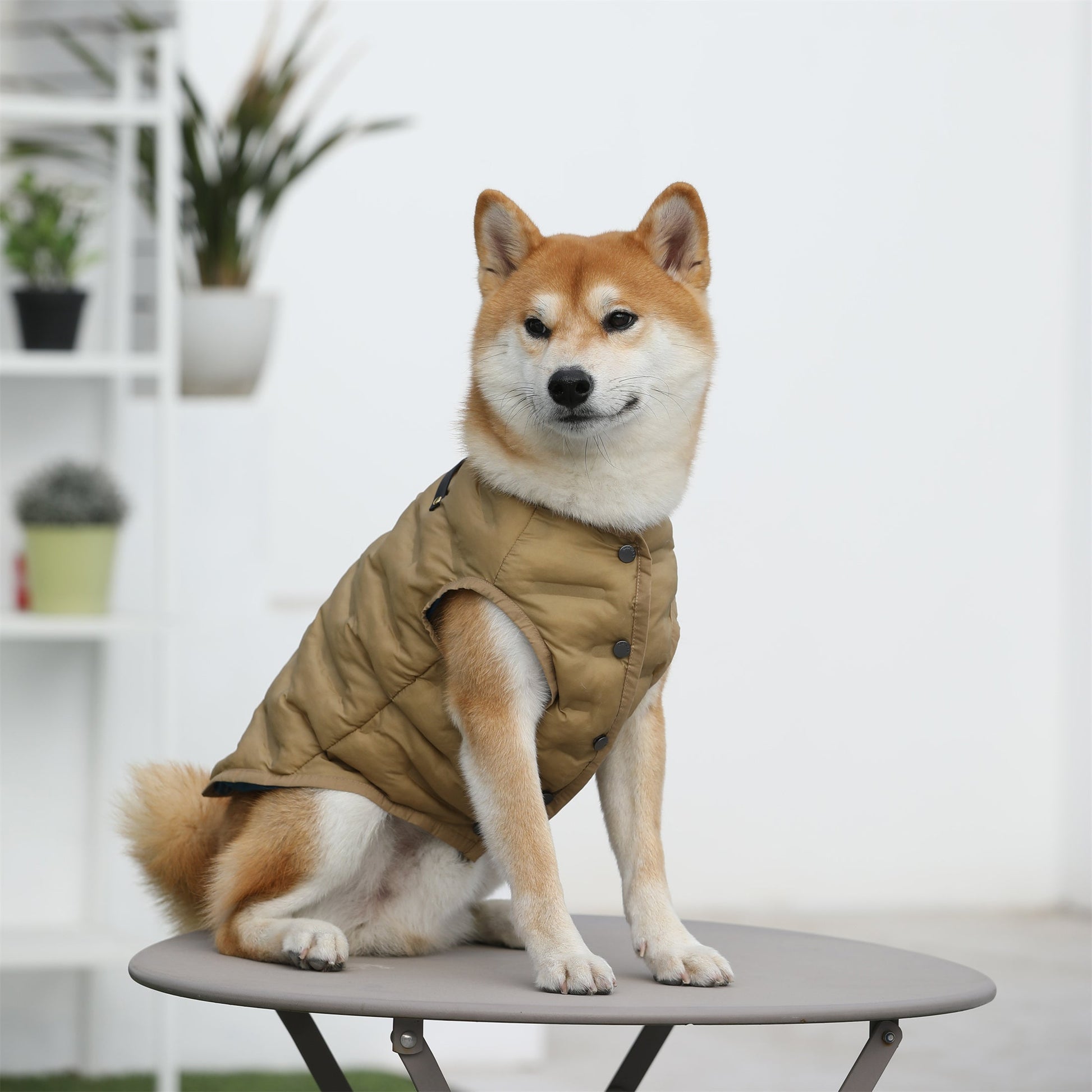 Sleeveless Button Up Puffer Jacket