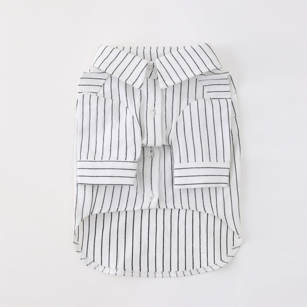 Striped Button Up Shirt in White