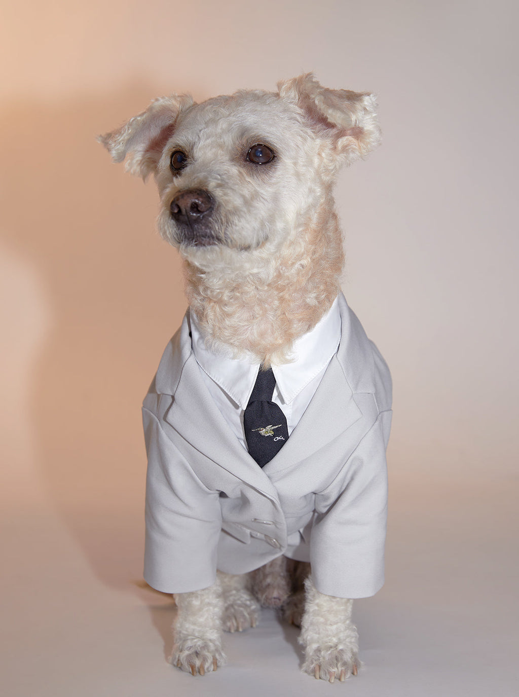 Grey Suit Jacket
