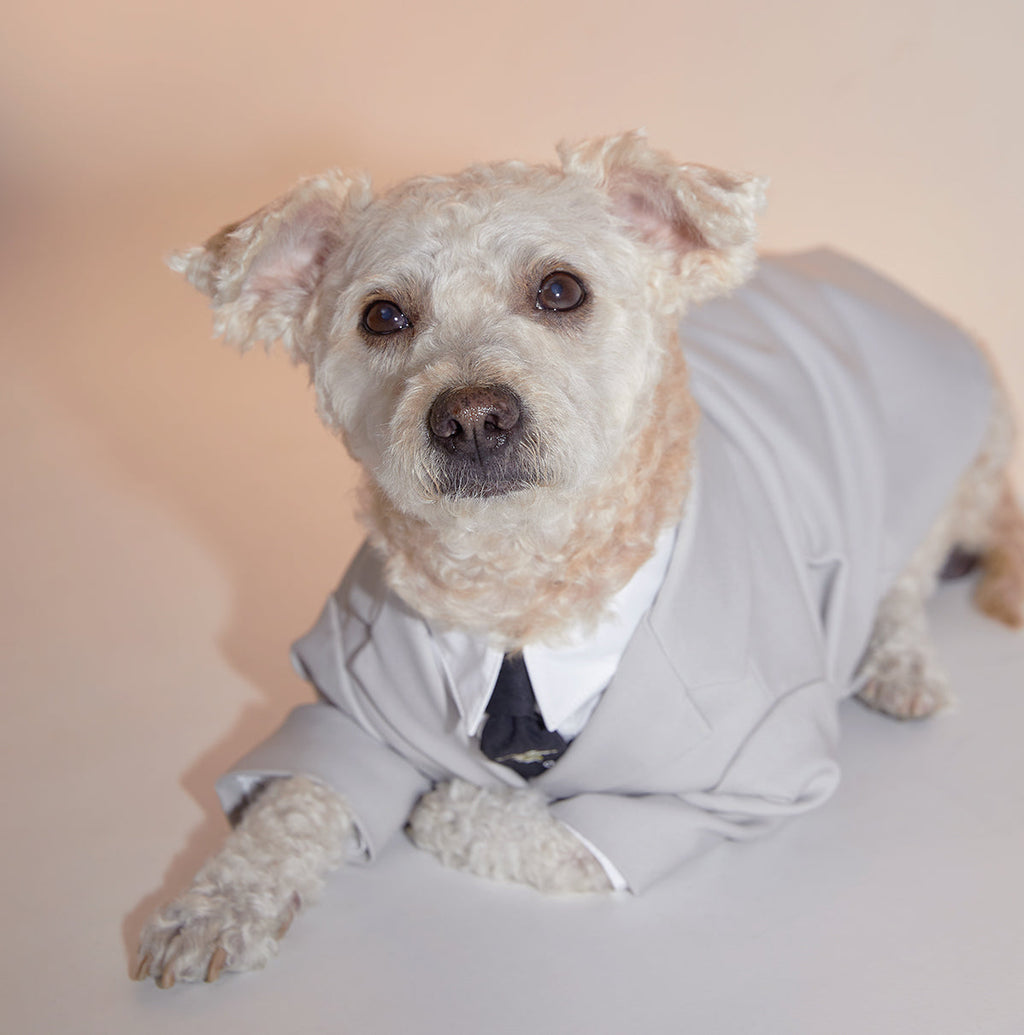Grey Suit Jacket