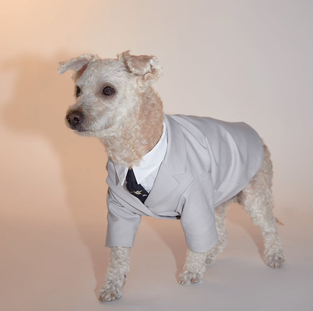 Grey Suit Jacket