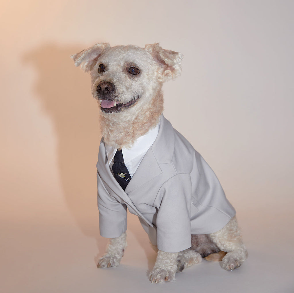 Grey Suit Jacket