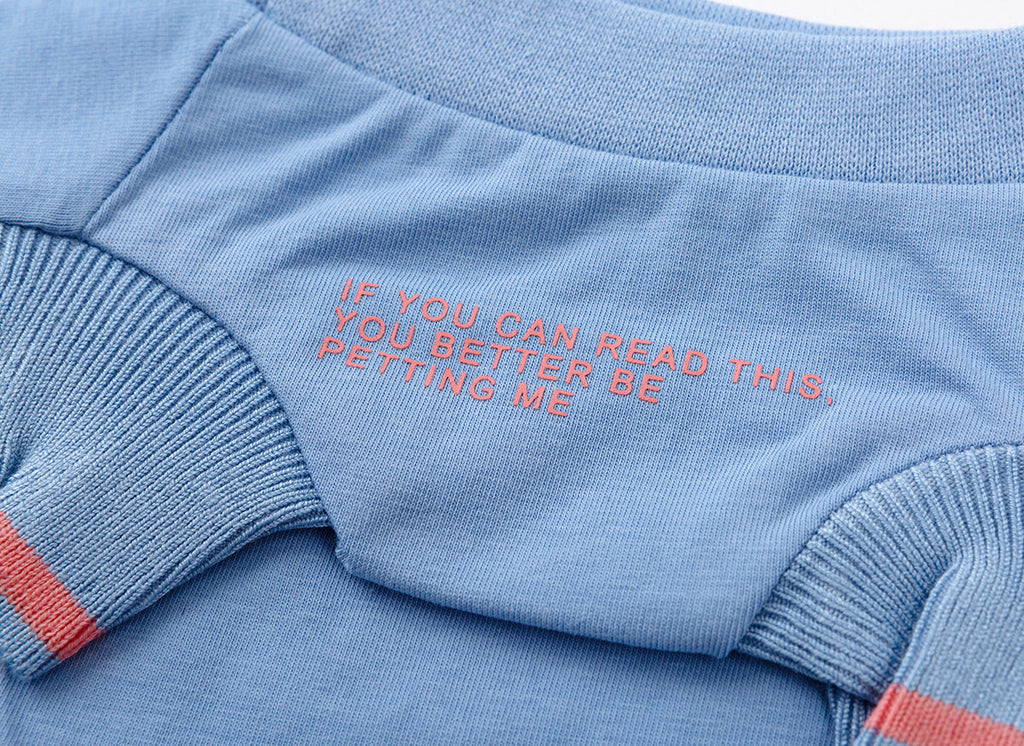 Funny Slogan T-Shirt in Five Colours