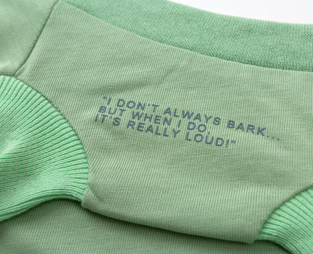 Funny Slogan T-Shirt in Five Colours
