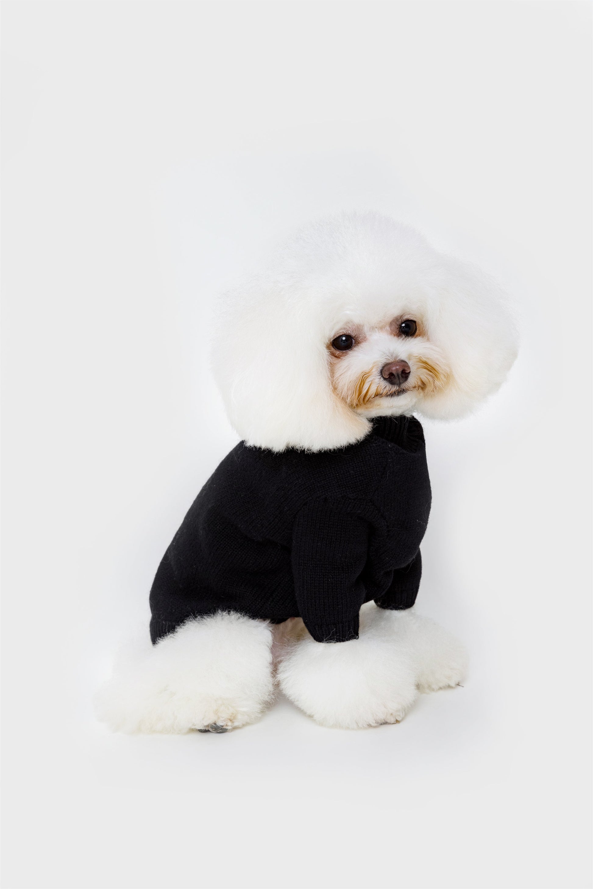 Turtleneck Long Sleeve Jumper with Embroidered Bird