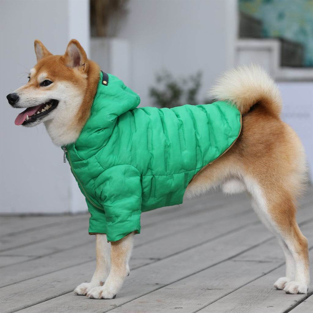 Zip Up Puffer Jacket with Hood