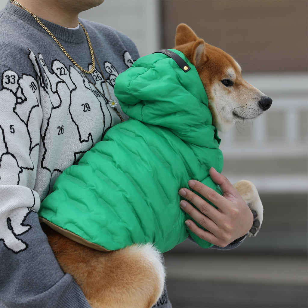 Zip Up Puffer Jacket with Hood
