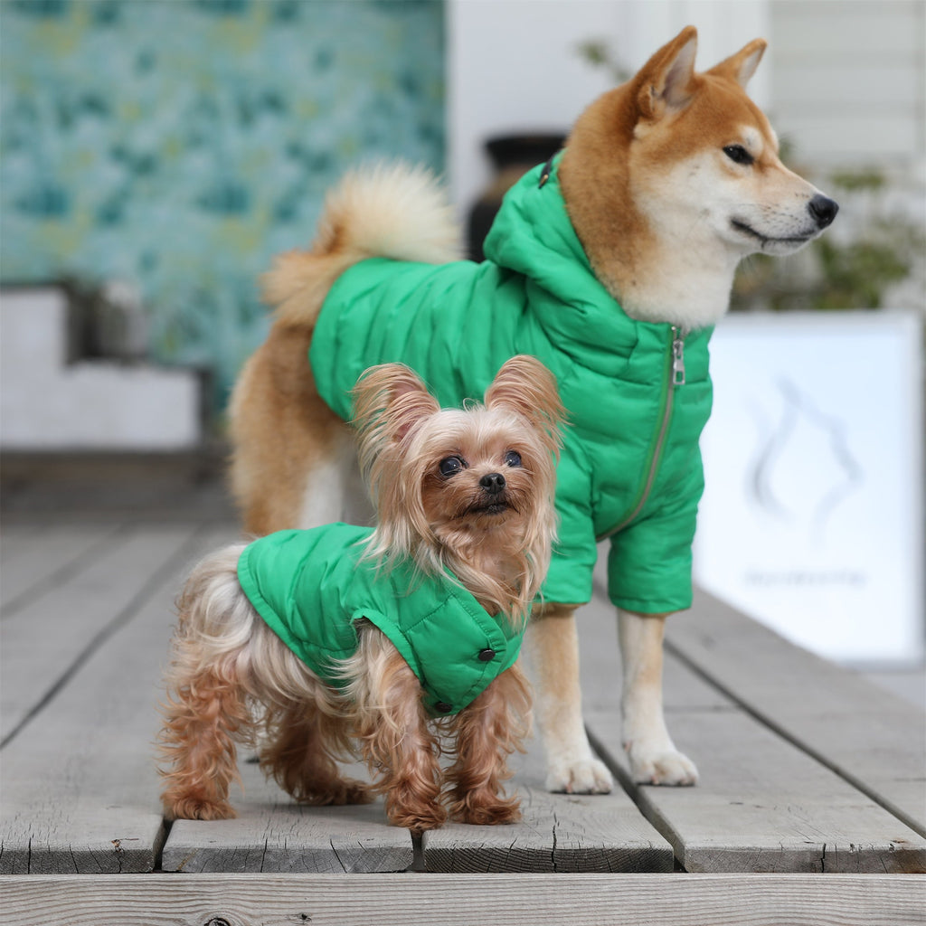 Zip Up Puffer Jacket with Hood
