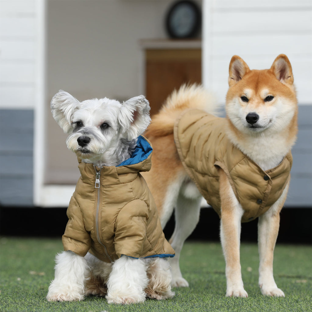 Zip Up Puffer Jacket with Hood