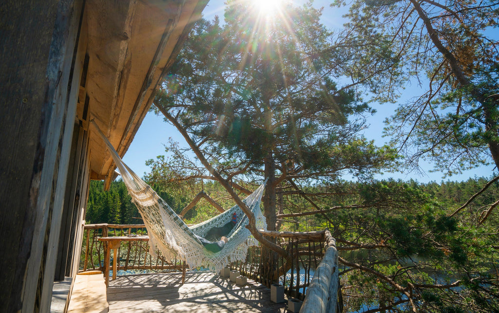 Stay Wild Cabin Getaway Guide