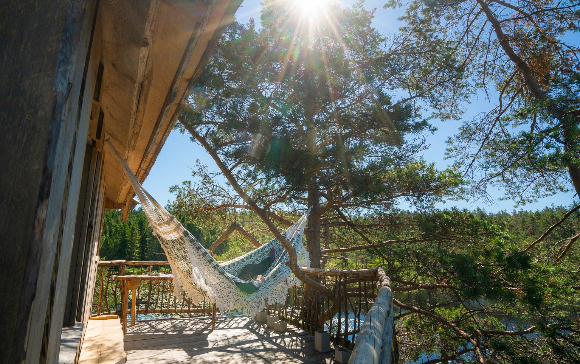 Stay Wild Cabin Getaway Guide