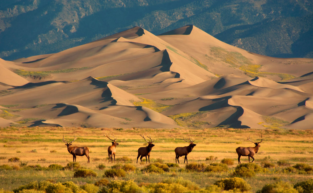 Trails and Secrets from the National Parks of the United States