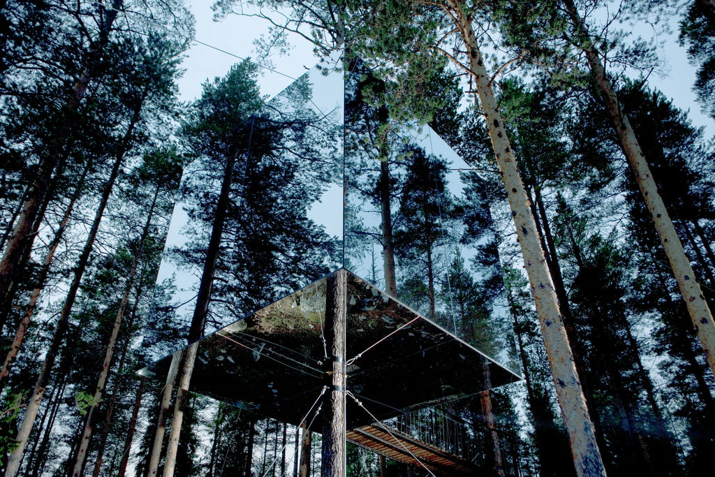 Stay Wild Cabin Getaway Guide