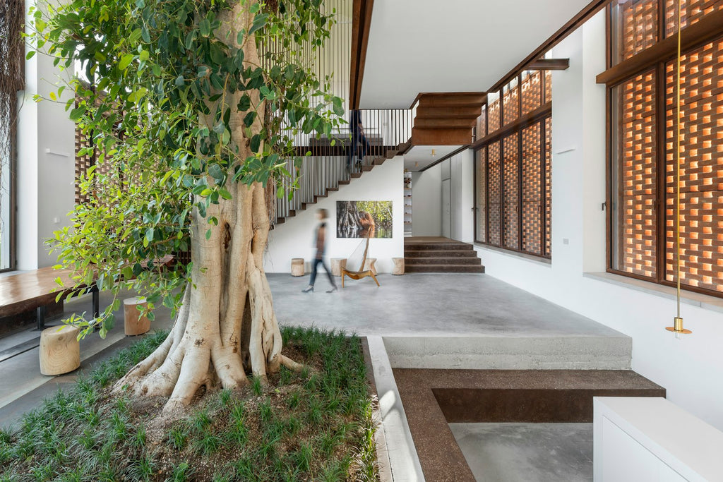 Natural Homes and Biophilic Architecture