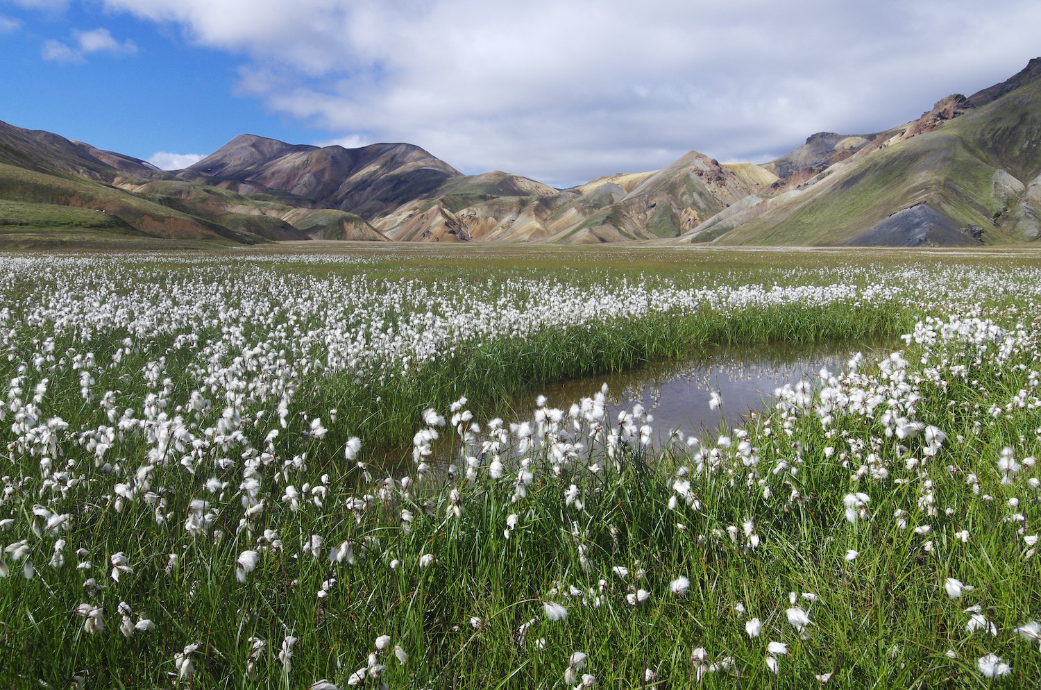 Scandinavian Trail Explorer's Guide