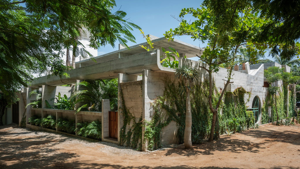 Natural Homes and Biophilic Architecture