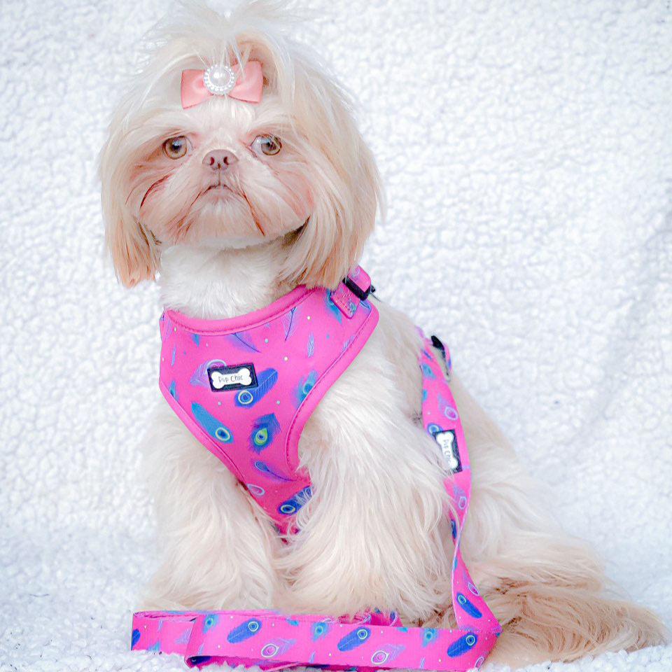 Hot Pink Peacock Feather Adjustable Dog Harness