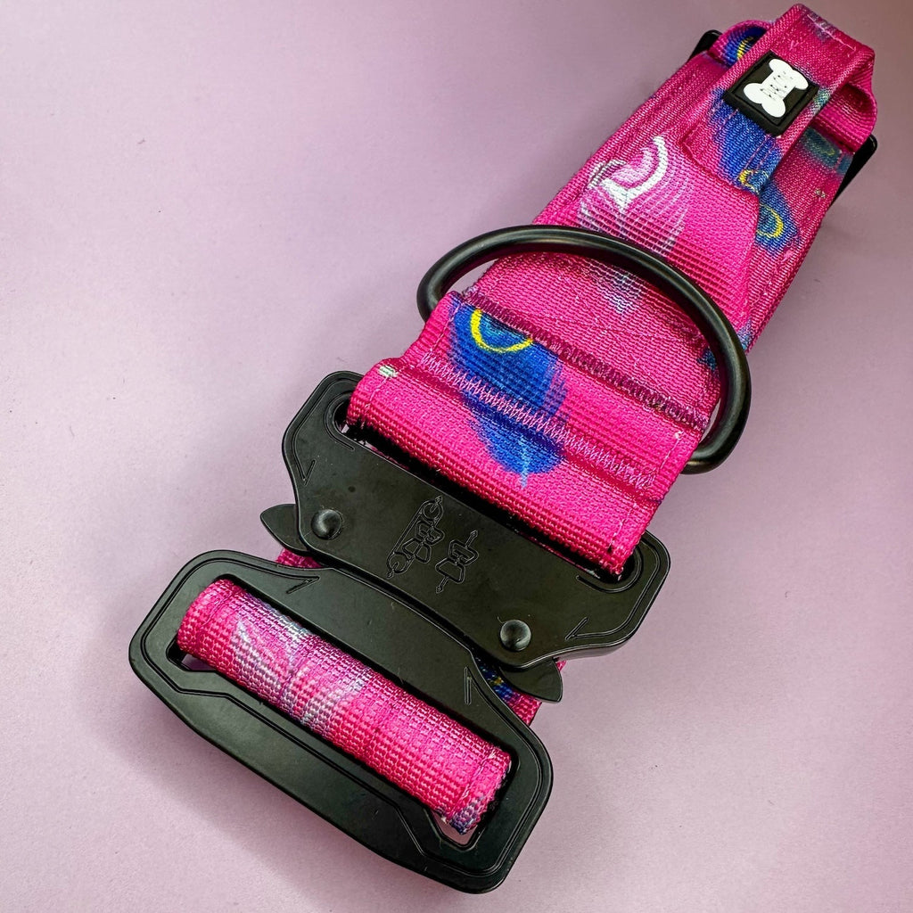 Peacock Power Tactical Dog Collar with Handle