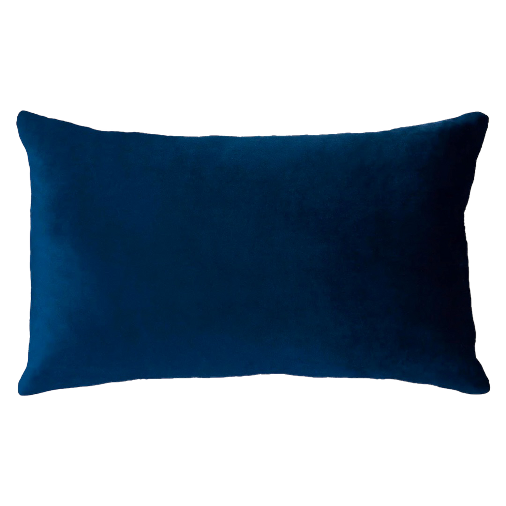Netflix and Chill Needlepoint Cushion