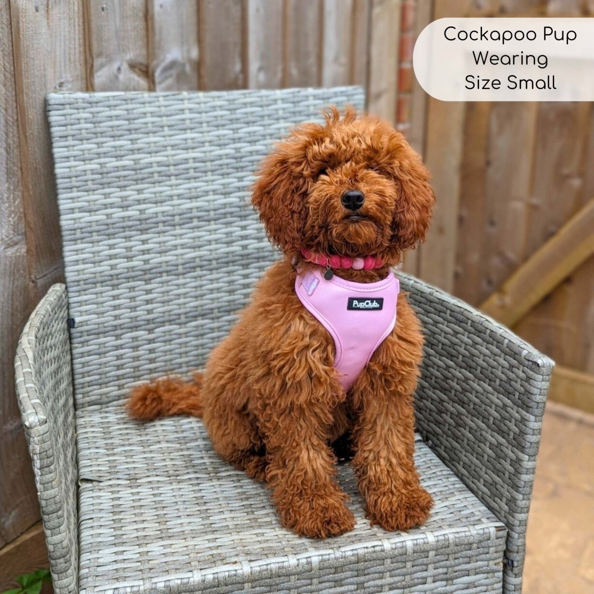 Adjustable Harness in Pastel Pink