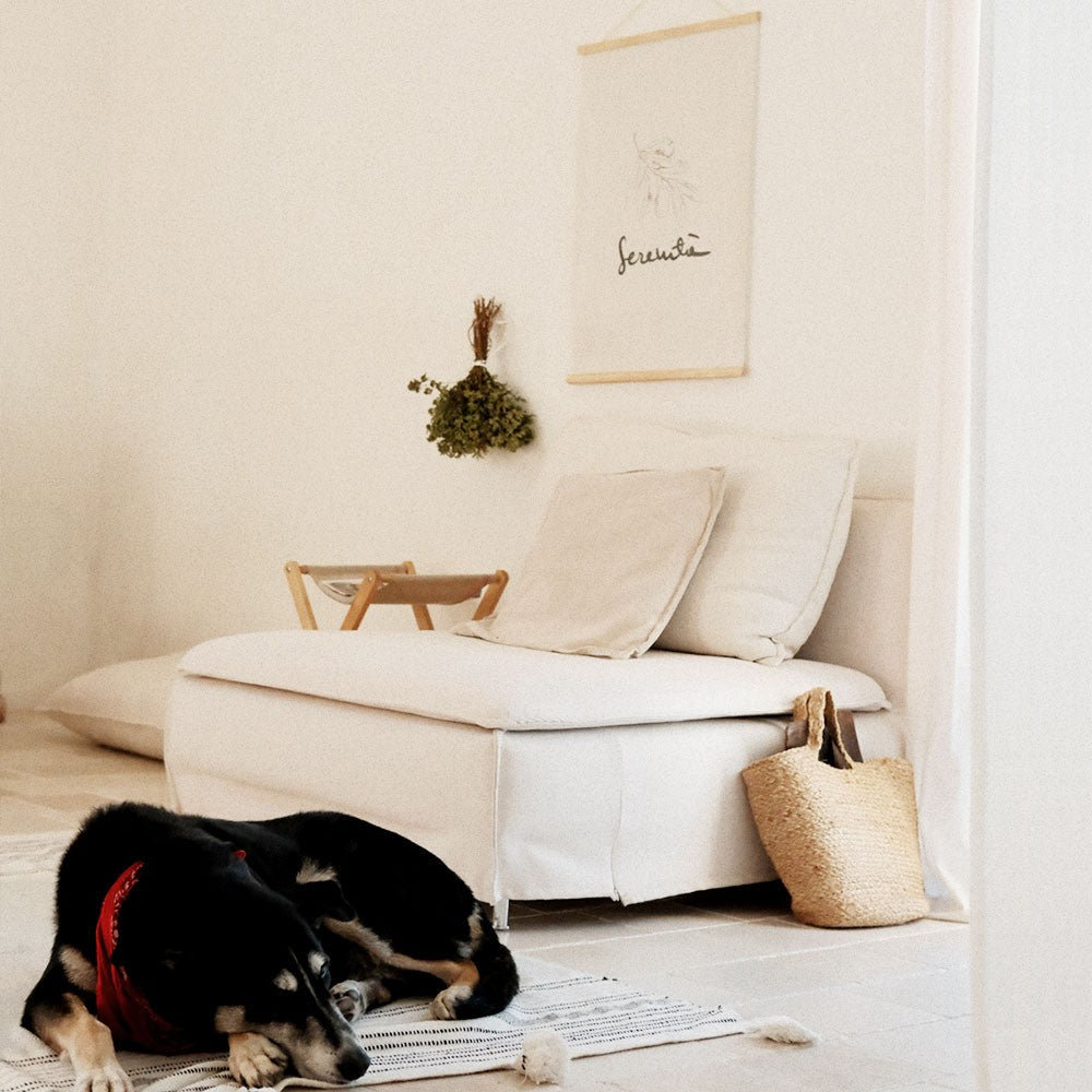 playful minimalist serenita poster on a sunlit wall in a fun kids room
