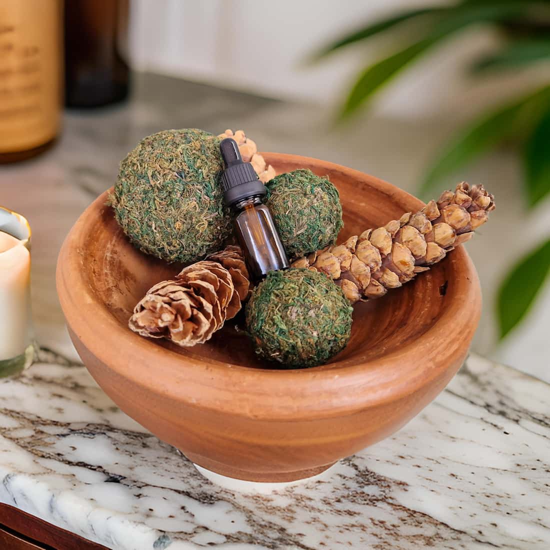 Pine Cone and Moss Ball Potpourri