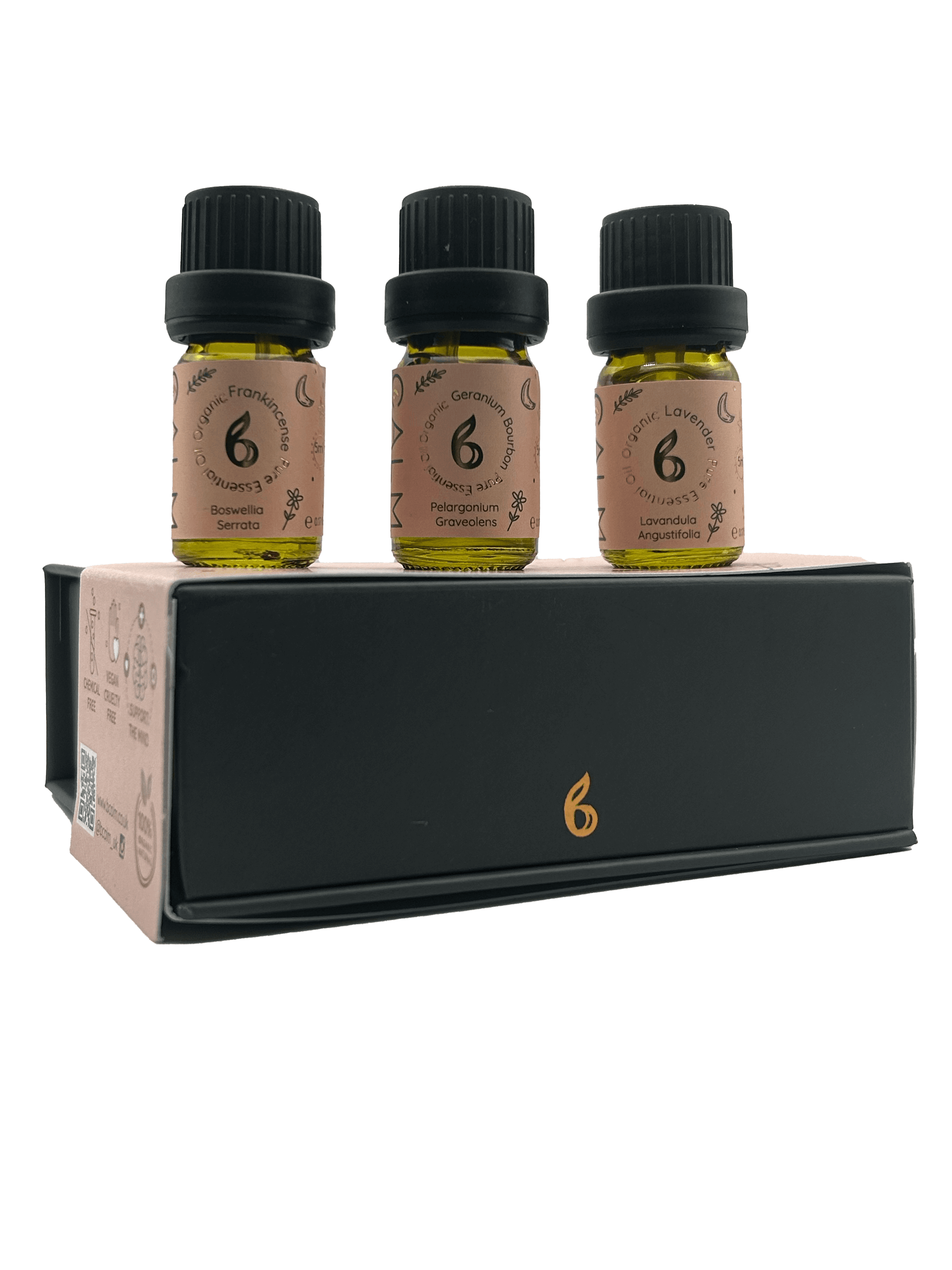 Geo Cut Glass Aroma Diffuser with Rest Calm Oil Set