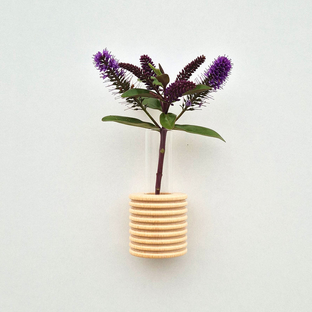 bold blue beech wood wall vase on a dark textured background