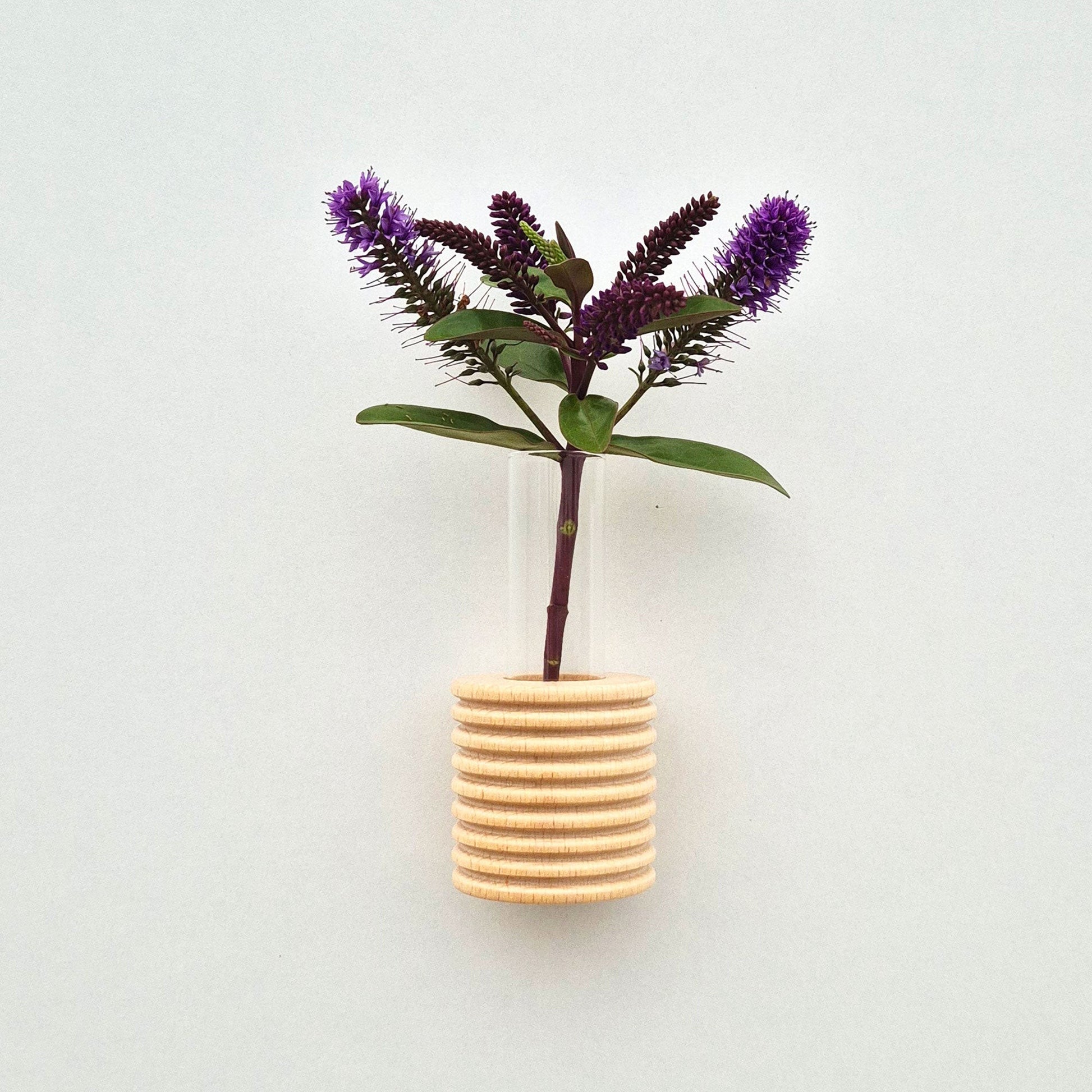 bold blue beech wood wall vase on a dark textured background