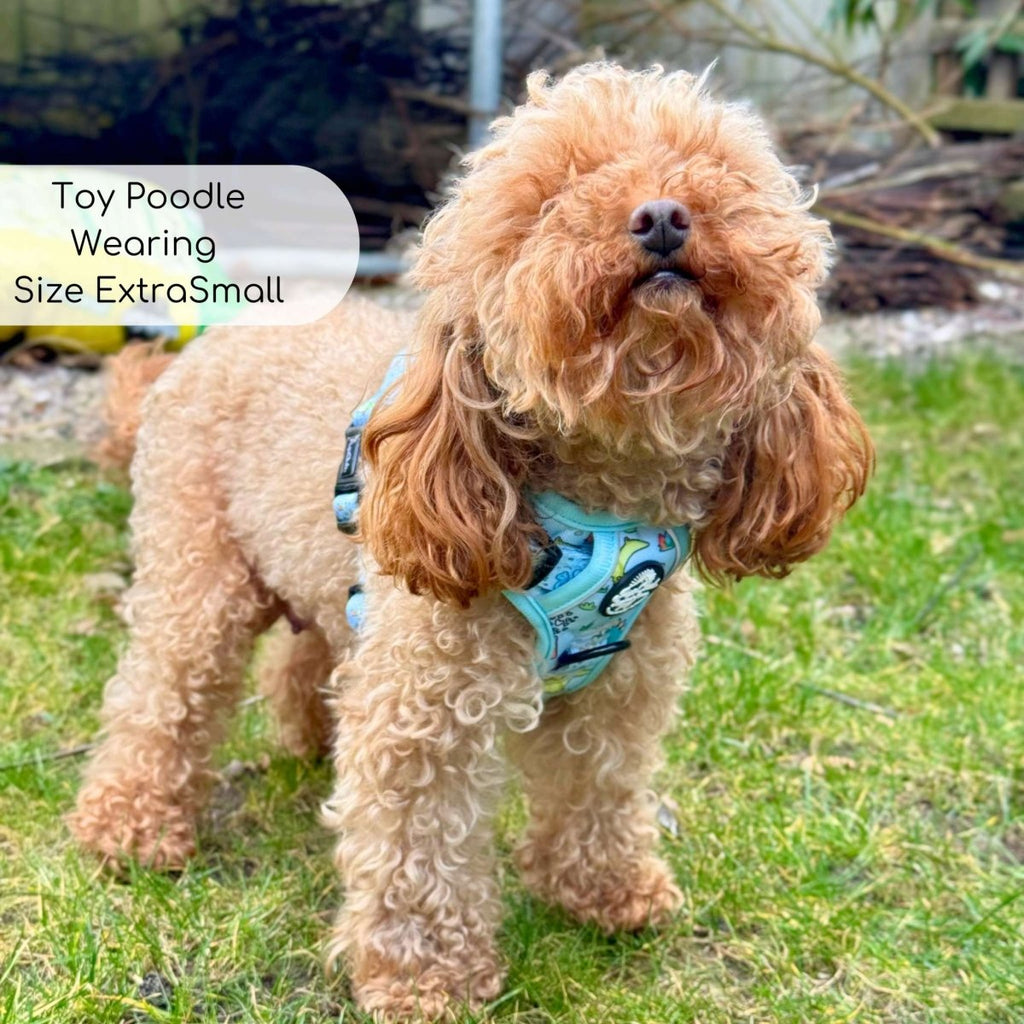 Dinosaur Party No Pull Dog Harness