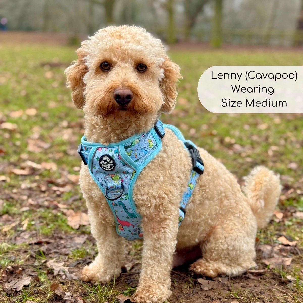 Dinosaur Party No Pull Dog Harness