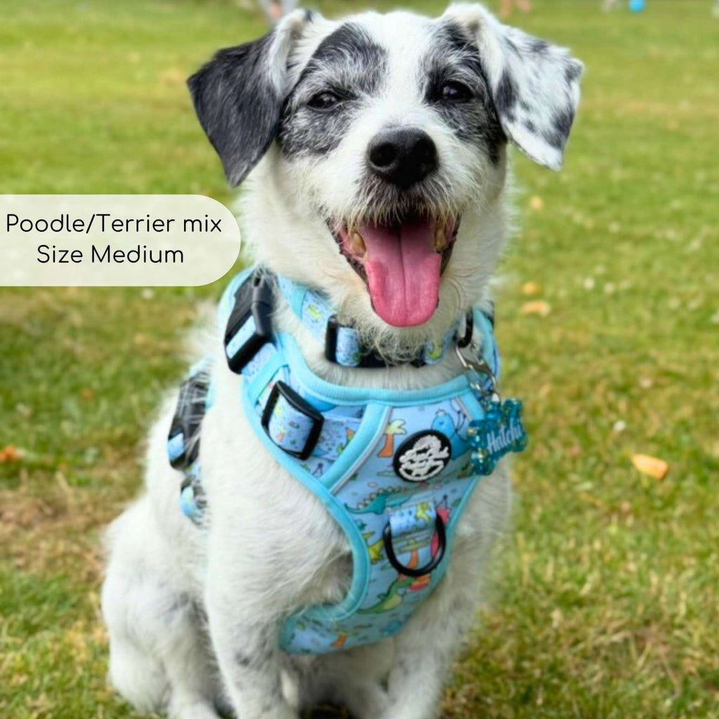 Dinosaur Party No Pull Dog Harness