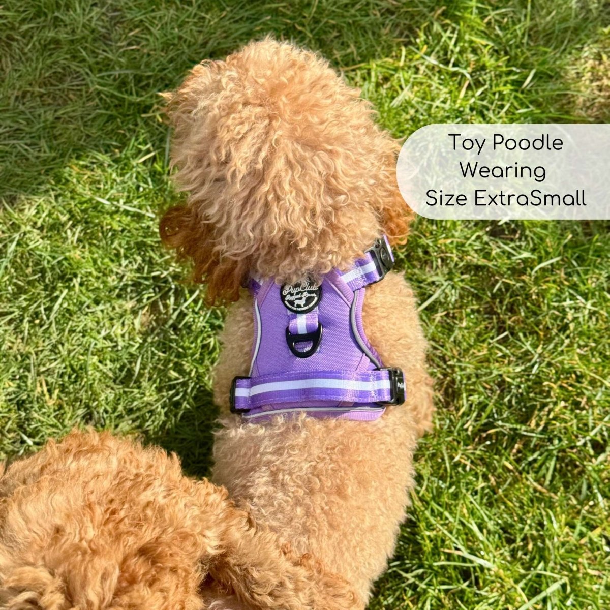 Rugged Rover Harness in Lilac Blush