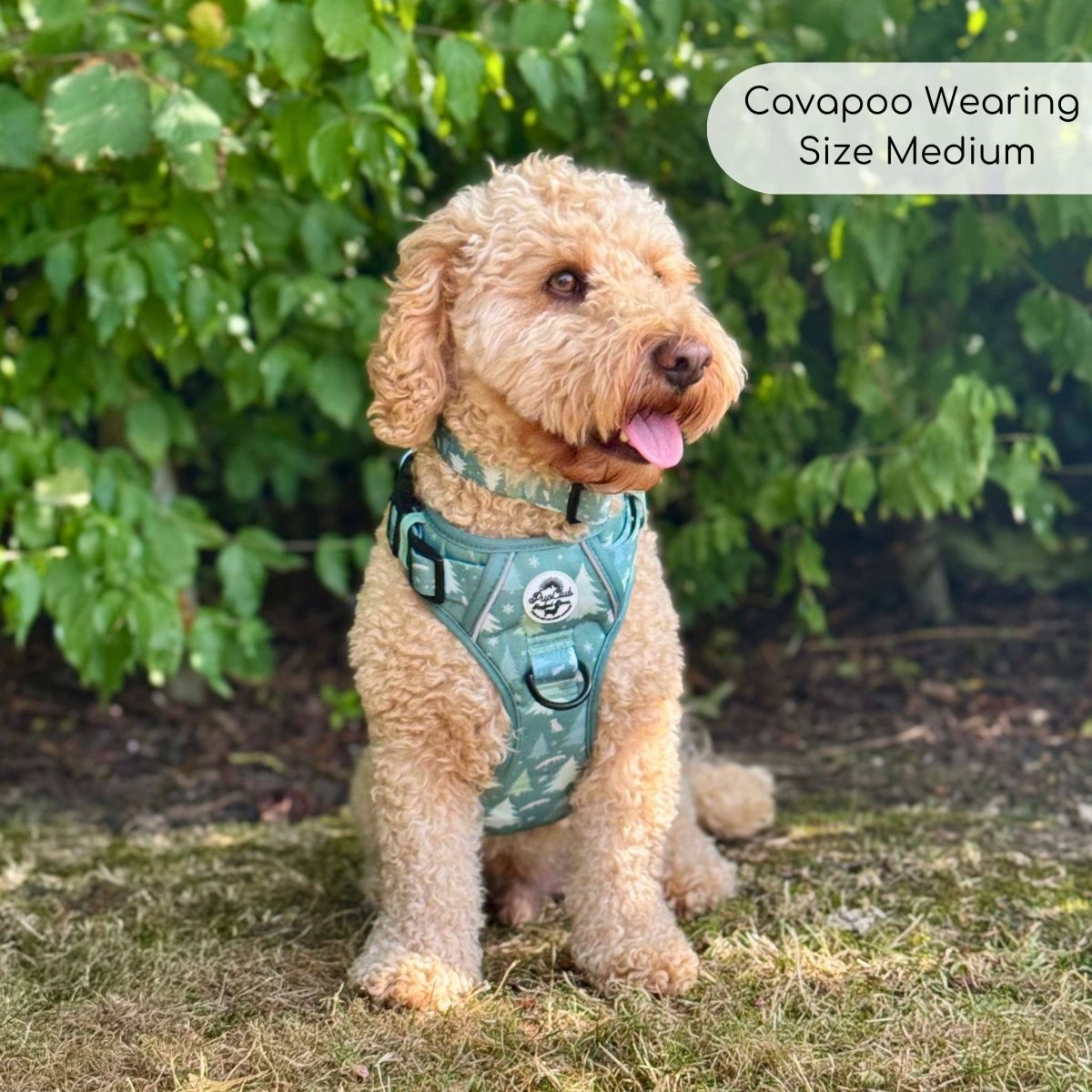 Rugged Rover Harness Evergreen Trails