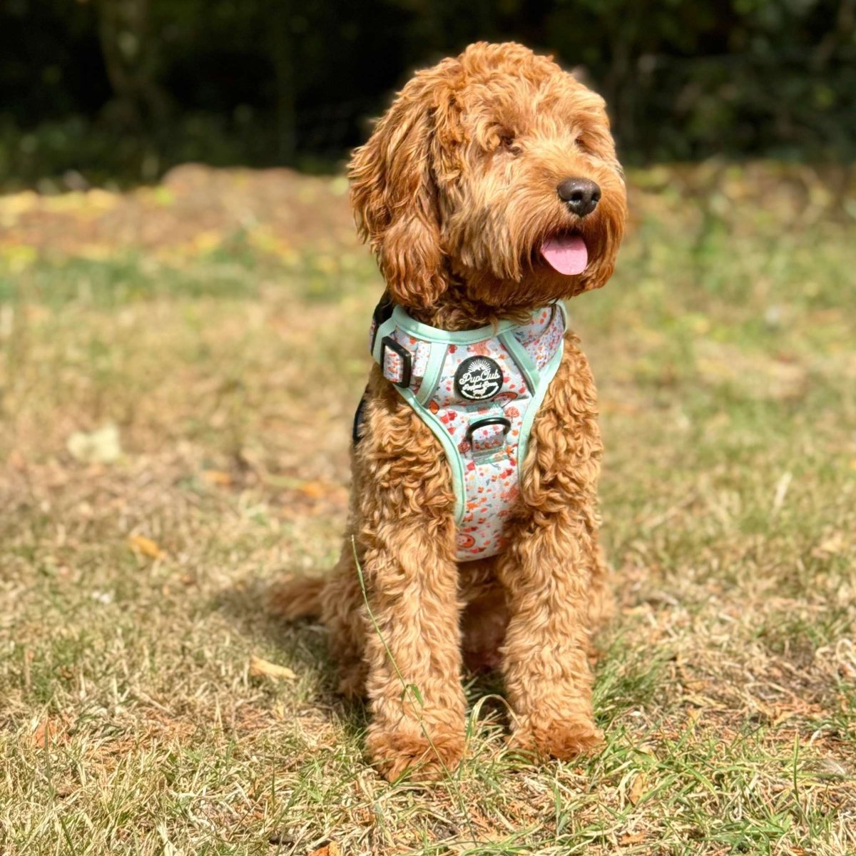 Woodland Friends No Pull Dog Harness