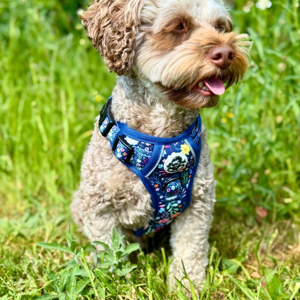 Summer Meadow No Pull Dog Harness