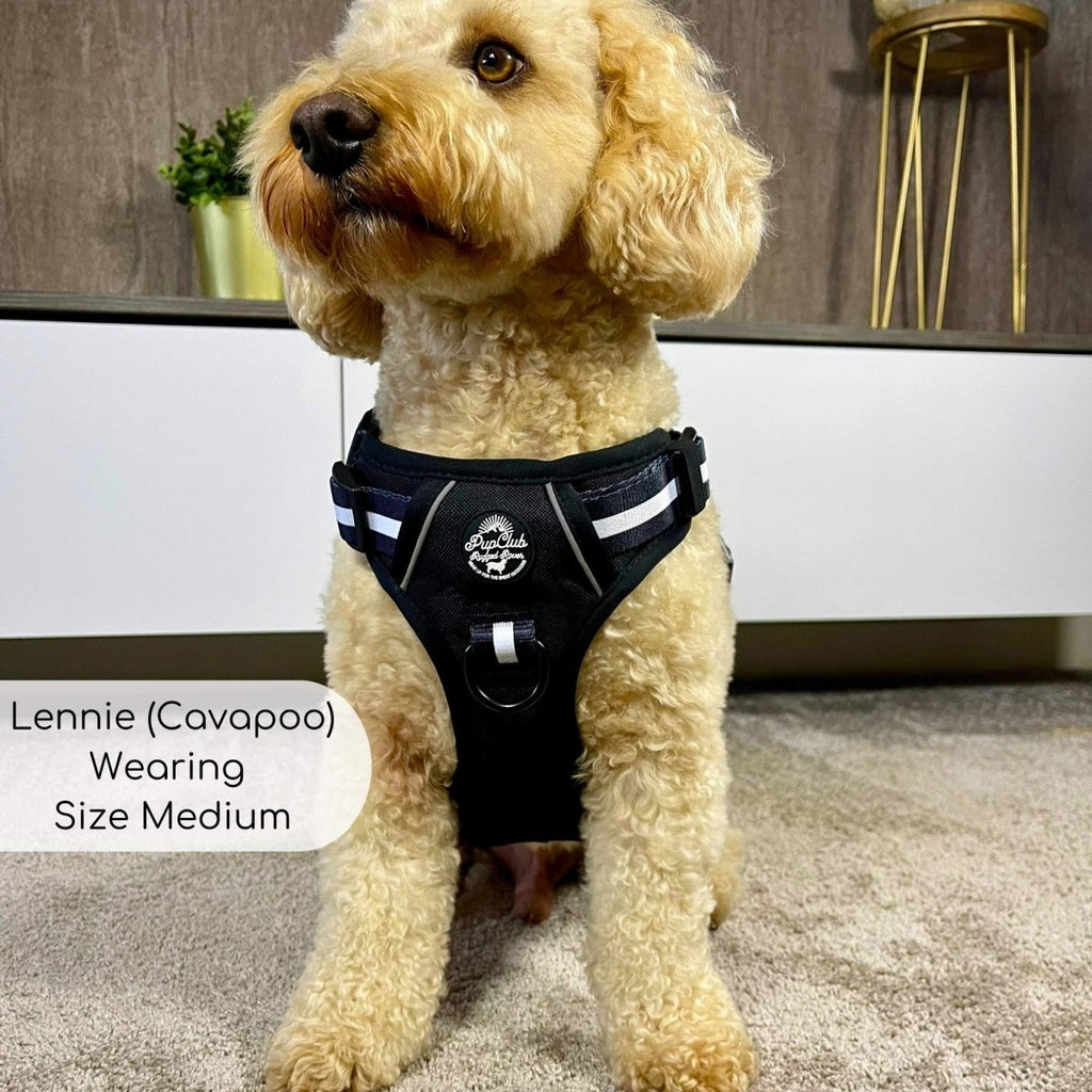 Rugged Rover Harness Midnight Black